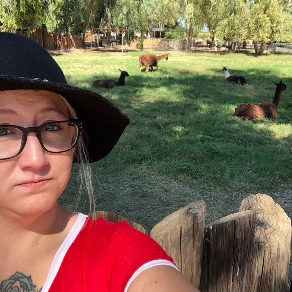 Sends offers to likers ✌️ - Picture 2 of 3